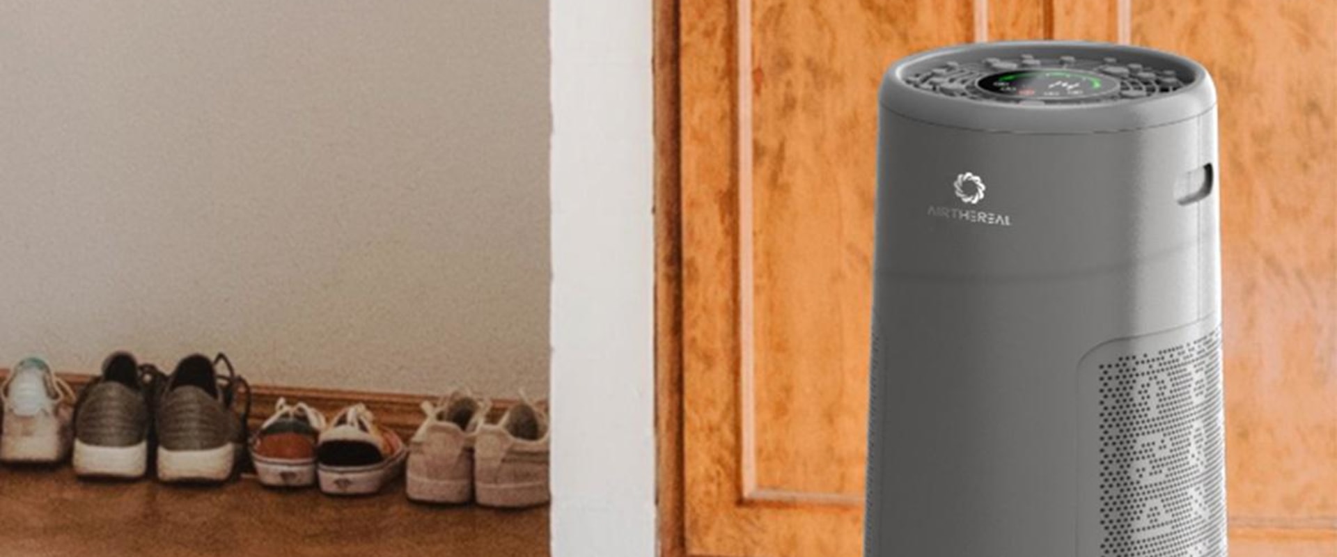 Is it Worth it to Buy an Air Purifier?