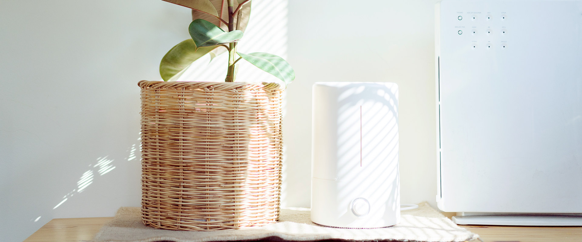 Is it Better to Have Two Smaller Air Purifiers or One Big One?
