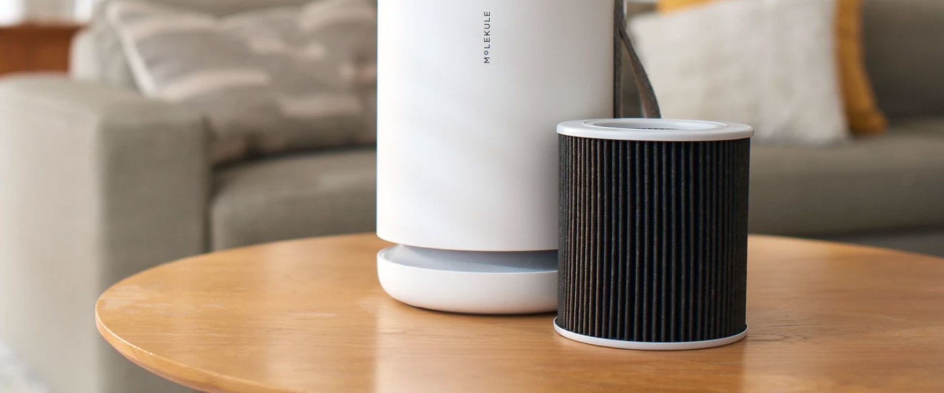Do Air Purifiers Really Work?