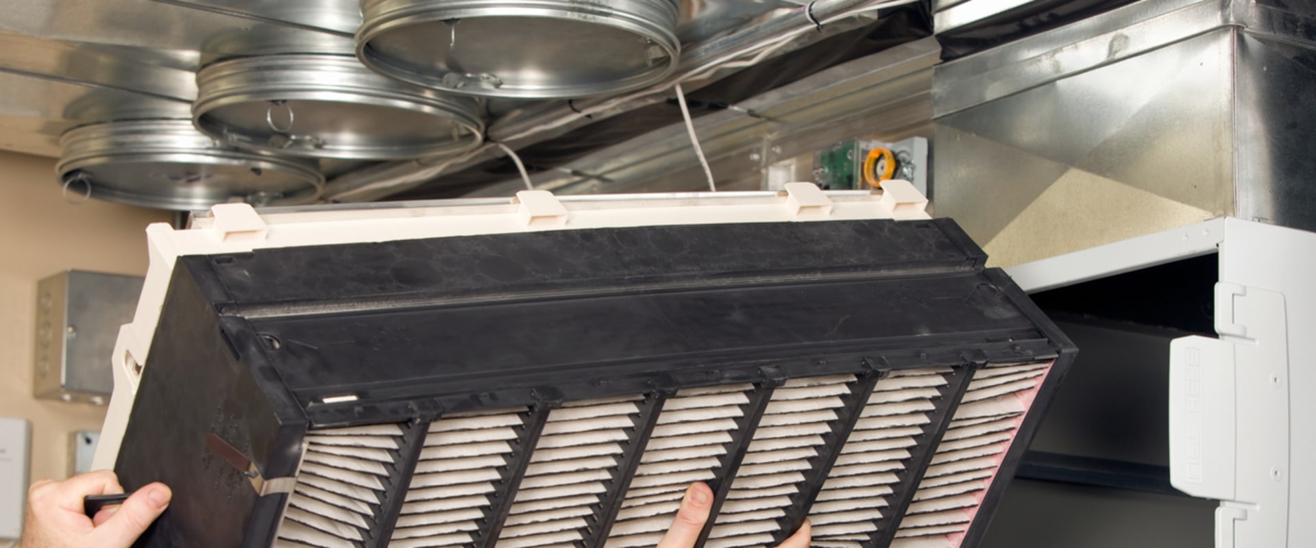 Can an Air Purifier Work for a Whole House?