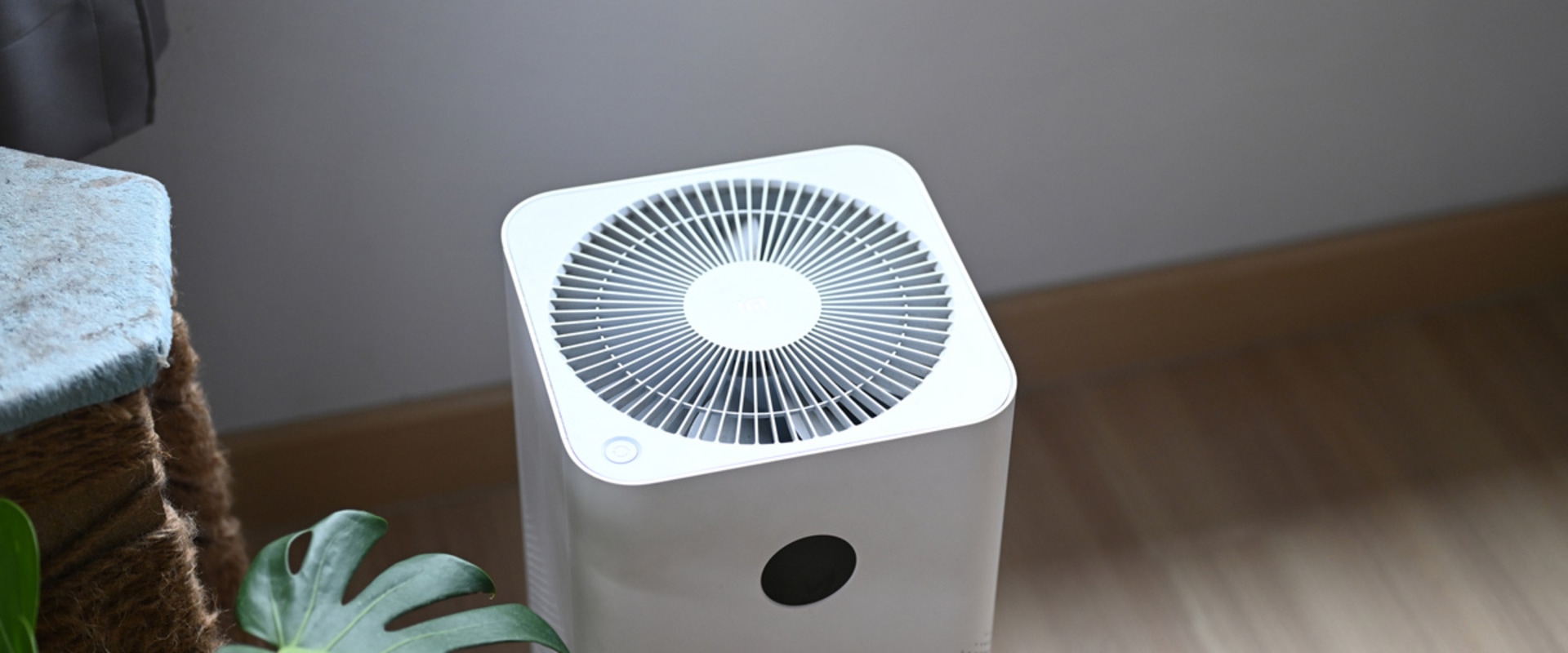 Are Air Purifiers Worth It?