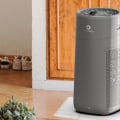 Is it Worth it to Buy an Air Purifier?