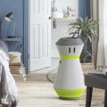 Is an Air Purifier a Good Idea?