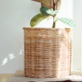 Should You Keep Your Air Purifier On All The Time?
