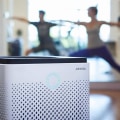 Is a Whole Home Air Purifier Worth It?