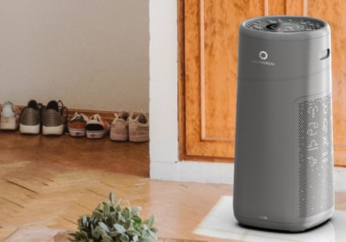 Is it Worth it to Buy an Air Purifier?