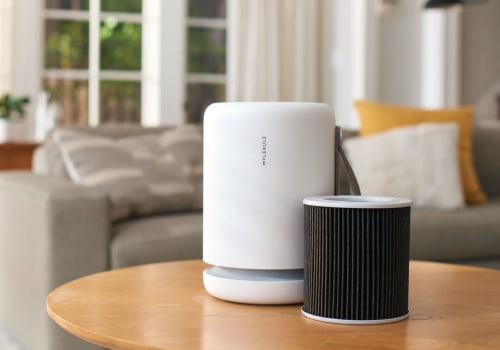 Do Air Purifiers Really Work?