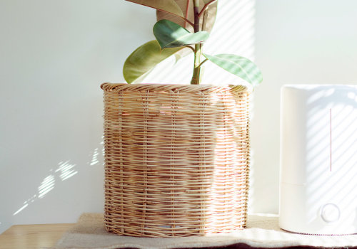 Are Air Purifiers Worth the Investment?